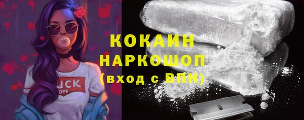 твердый Арсеньев
