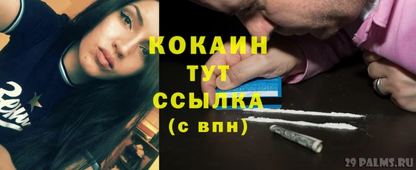 твердый Арсеньев