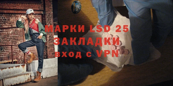 твердый Арсеньев