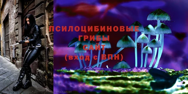 твердый Арсеньев