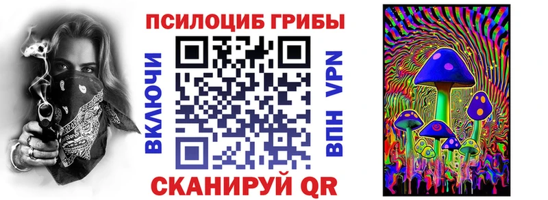 ссылка на мегу как зайти  Шуя  Галлюциногенные грибы Psilocybe 