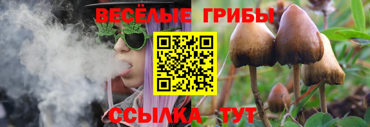 Галлюциногенные грибы ЛСД  Псилоцибиновые грибы GOLDEN TEACHER  Шуя  Вход с VPN 