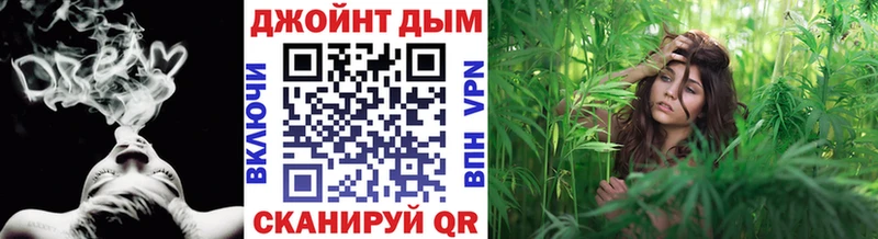 MEGA как войти  Шуя  Марихуана Ganja 